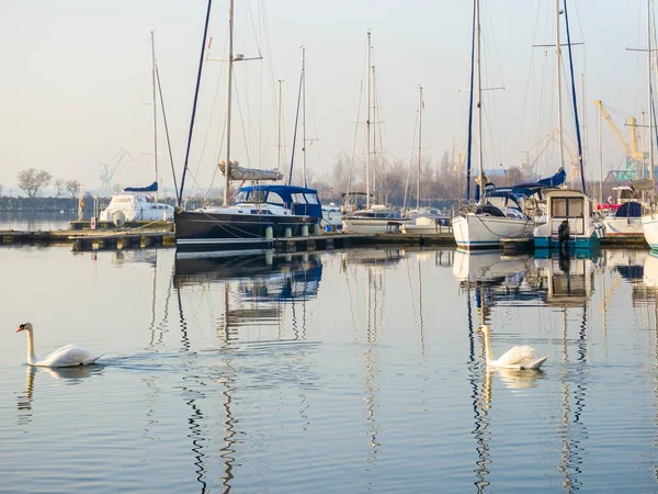 Viele Boote Und Yachten Ankern Touristenhafen Mangalia Constanta — Stockfoto