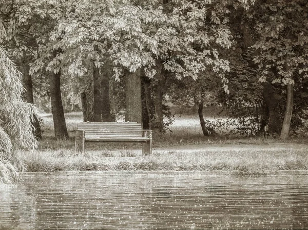 Vintage Monochrome Picture Lonely Bench Park Bucharest — Stock Photo, Image