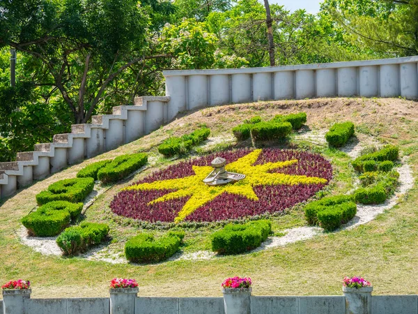 Dekoracja Zegar Kwiatowy Roses Park Timisoara Rumunia — Zdjęcie stockowe