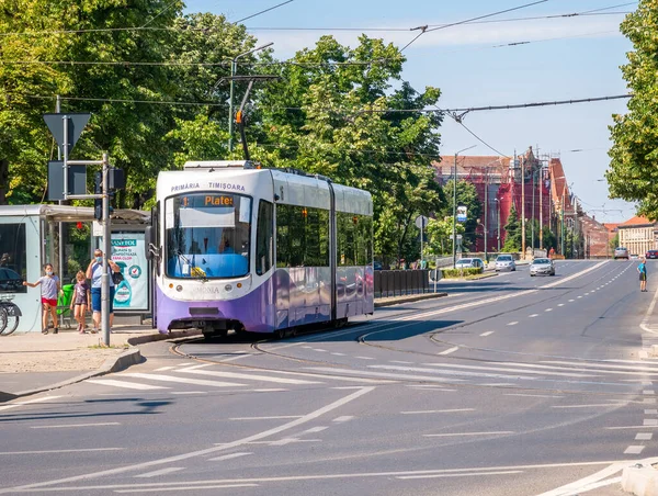 Timisoara Румунія 2021 Міський Трамвай Коліях Тімішоарі Суспільство Громадського Транспорту — стокове фото