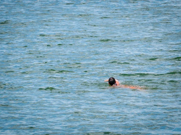 Hombre Nadando Las Aguas Azules Del Mar Abierto — Foto de Stock