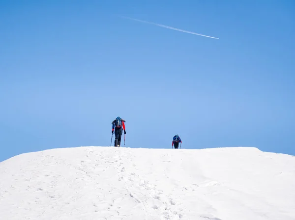 Två Vandrare Väg Genom Snö Vinterlandskap Karapatiska Bergen Rumänien — Stockfoto