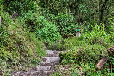 Aguas Calientes 'ten Machu Picchu' ya (Camino peatonal a Machu Picchu) uzanan yayaya dik taş adımlarla bak)