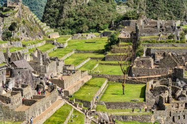 Aguas Calientes, Peru - 18 Mart 2025: Machu Picchu Tapınağı 'ndaki İnka harabelerini ziyaret eden turistler