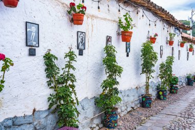 Cusco, Peru - 19 Mart 2025: Cusco 'da renkli saksıları ve beyaz duvarlı binalara asılı bitkileri olan resim gibi dar bir cadde