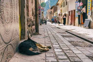 Pisac, Peru - 20 Mart 2025: Pisac kasabasında turistler ve yerlilerin gezdiği sokak manzarası