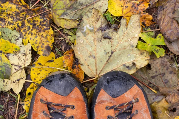 Zbliżenie butów turystycznych stojących na jesiennych liściach. — Zdjęcie stockowe