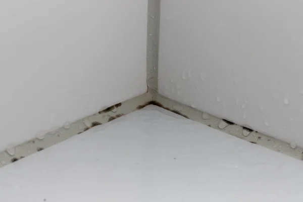Banyonun veya küvetin köşesindeki silikon eklem altında siyah küf oluşuyor.