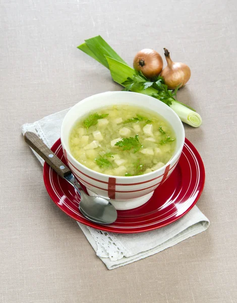 Chicken soup with leeks — Stock Photo, Image