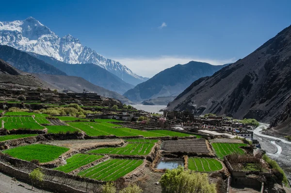 A aldeia de Kagbeni, Upper Mustang, Nepal — Fotografia de Stock