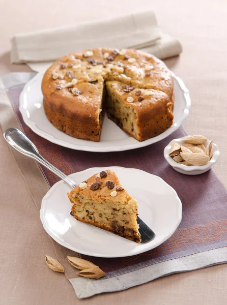 Gâteau au chocolat aux noix — Photo