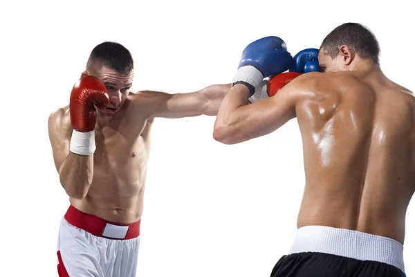 Dois boxers profissionais estão lutando no branco — Fotografia de Stock