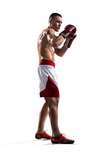 Professionl boxer is isolated on white — Stock Photo, Image