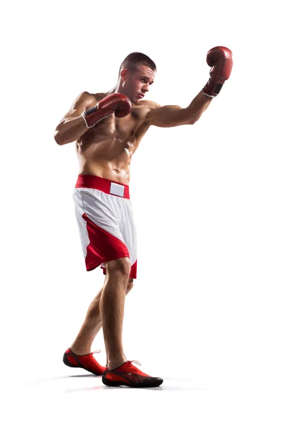 Professionl boxer is isolated on white — Stock Photo, Image