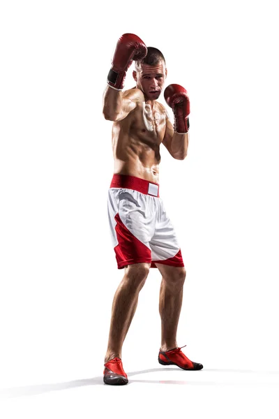 O boxeador profissional é isolado no branco — Fotografia de Stock