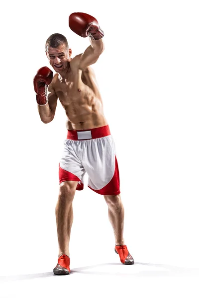 Profi-Boxer ist auf Weiß isoliert — Stockfoto