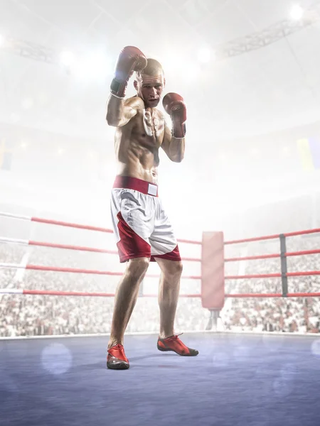 Boxeador profesional está entrenando en la gran arena —  Fotos de Stock