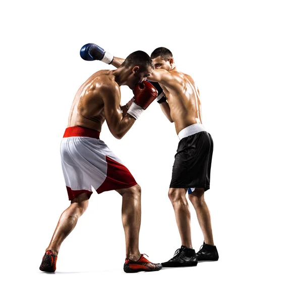 Two professionl boxers are fighting on the white — Stock Photo, Image