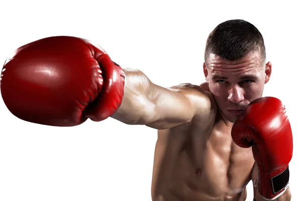 Boxer professionista è isolato su bianco — Foto Stock