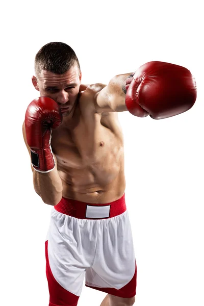 O boxeador profissional é isolado no branco — Fotografia de Stock