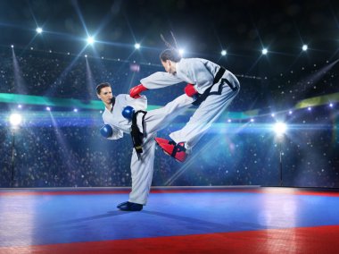 Two professional female karate fighters are fighting clipart