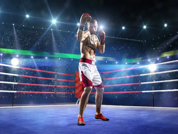 Professionl boksör halkada duruyor
