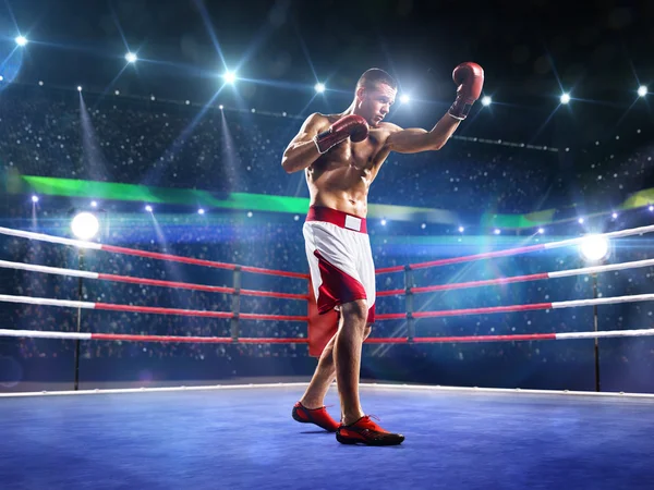 Boxer professionista è in piedi sul ring — Foto Stock