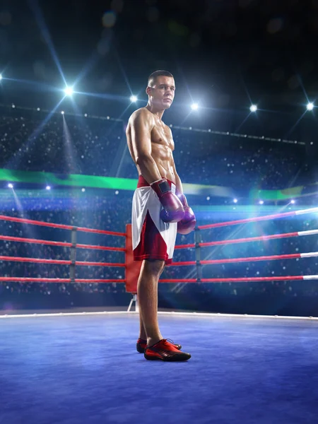 Professionl boxer is standing on the ring — Stock Photo, Image