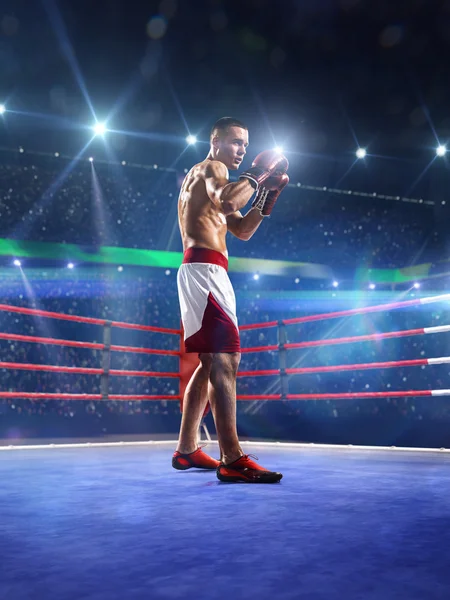 Professionl boxer is standing on the ring — Stock Photo, Image