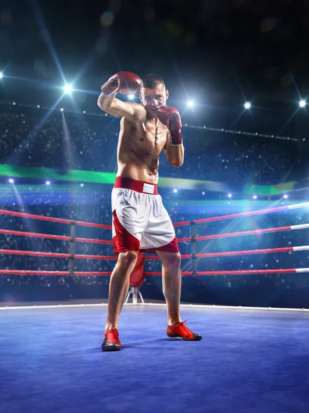 Professionl boxer is standing on the ring — Stock Photo, Image