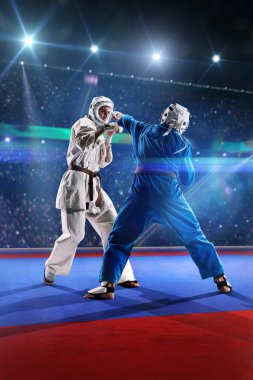 İki kudo savaşçıları büyük arena mücadele ediyoruz