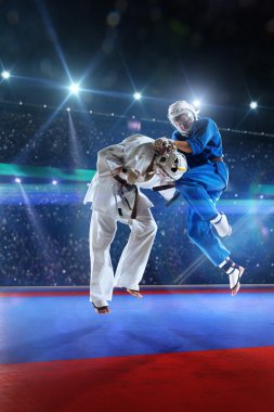 İki kudo savaşçıları büyük arena mücadele ediyoruz