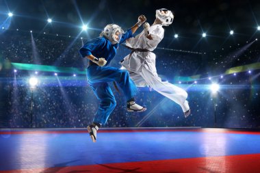 İki kudo savaşçıları büyük arena mücadele ediyoruz