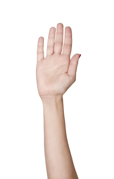 Hand raise up — Stock Photo, Image