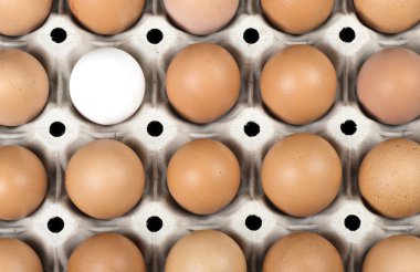 kahverengi yumurta ve bir beyaz yumurta. farklı konsepti