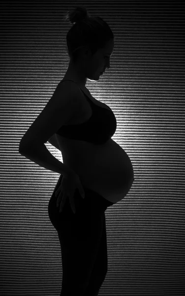 La silueta de la mujer embarazada —  Fotos de Stock