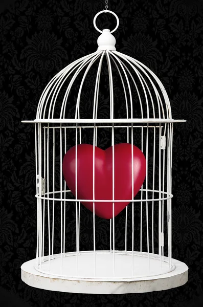 Red Heart in a Cage — Stock Photo, Image