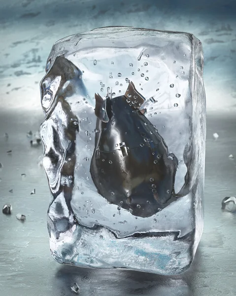 Pedra de gelo e bomba atómica — Fotografia de Stock