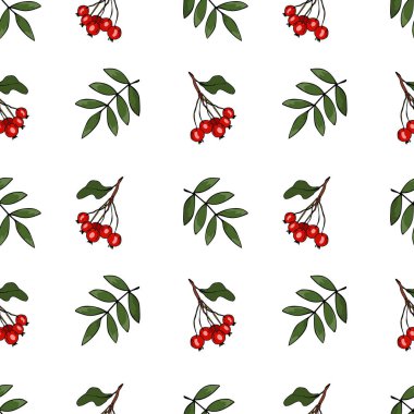 Gri arka planda Rowan 'ın dalları olan vektörsüz desen. Tekstil, ambalaj kağıdı, tebrik kartı ve mevsimlik sonbahar tatili davetiyesi için tekrarlanan arka plan