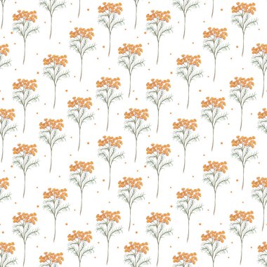 Beyaz arka planda yaprak ve çiçek tansisi olan pürüzsüz bir desen. Tasarım tıbbı için botanik illüstrasyon, düğün davetiyesi, tebrik kartı, kozmetik. Suluboya resim