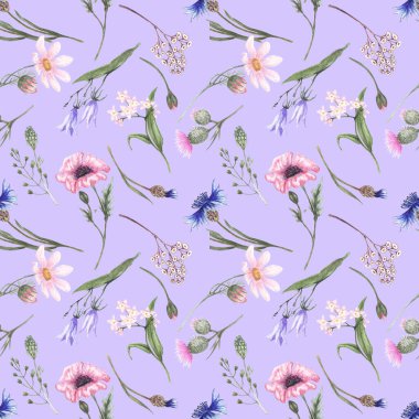 Güzelim kır çiçeklerinin görüntüsüne sahip kusursuz desen: gelincik, papatya, çiçek, devedikeni, çanlar, açık yeşil bir arka planda..