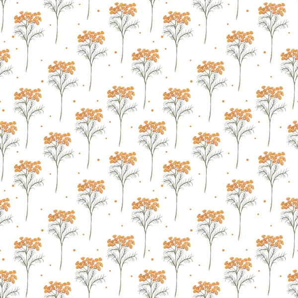 Бесшовный узор с листьями и цветочками на белом фоне. Ботаническая иллюстрация для дизайна медицины, свадебное приглашение, поздравительная открытка, косметика. Акварель — стоковое фото