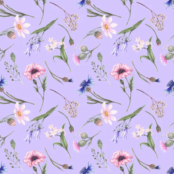 Güzelim kır çiçeklerinin görüntüsüne sahip kusursuz desen: gelincik, papatya, çiçek, devedikeni, çanlar, açık yeşil bir arka planda..