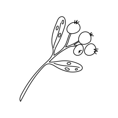 Noel ökseotu ya da öpücük dalı. Xmas ev dekorasyonu. Element Yeni Yıl dekorasyonu ve konfor. Karalama biçiminde beyaz arkaplan üzerindeki izole vektör nesnesi