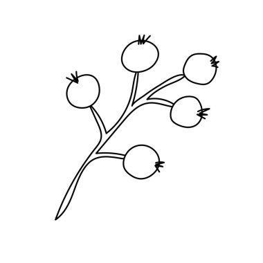 Noel ökseotu ya da öpücük dalı. Xmas ev dekorasyonu. Element Yeni Yıl dekorasyonu ve konfor. Karalama biçiminde beyaz arkaplan üzerindeki izole vektör nesnesi