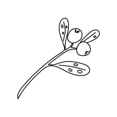 Noel ökseotu ya da öpücük dalı. Xmas ev dekorasyonu. Element Yeni Yıl dekorasyonu ve konfor. Karalama biçiminde beyaz arkaplan üzerindeki izole vektör nesnesi