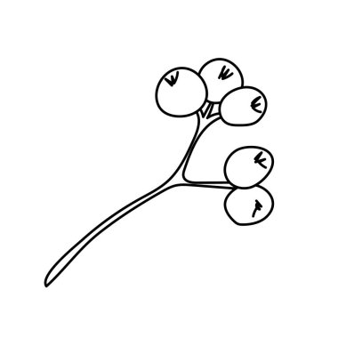 Noel ökseotu ya da öpücük dalı. Xmas ev dekorasyonu. Element Yeni Yıl dekorasyonu ve konfor. Karalama biçiminde beyaz arkaplan üzerindeki izole vektör nesnesi