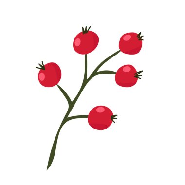 Böğürtlenli güzel çoban püskülü. Noel mevsimi bitkisi. Kış bayramı sembolü. Noel sembolü, tatlı kış karalamaları, boyama kitabı. Vektör illüstrasyonu beyaz arkaplanda izole edildi.