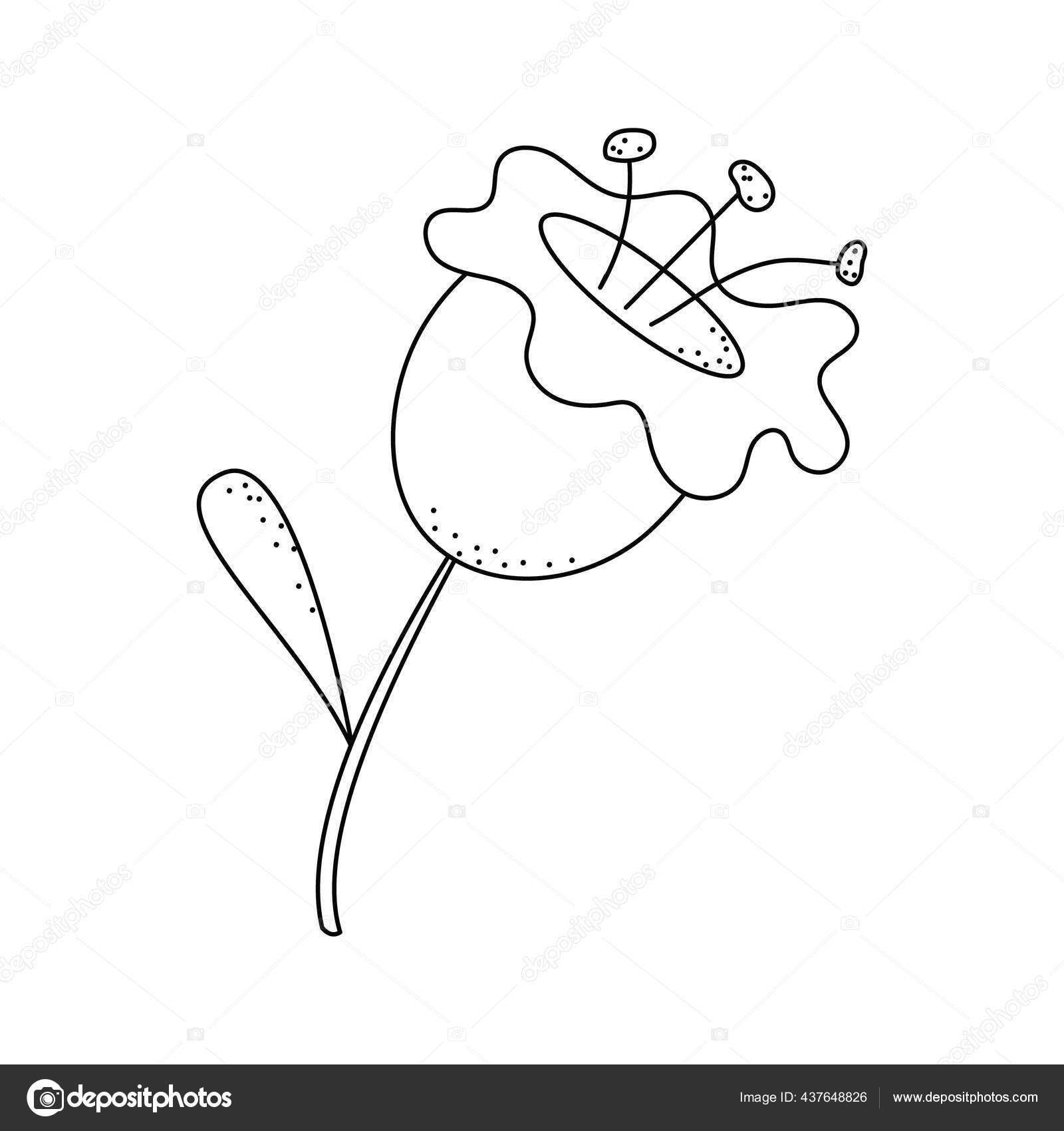 病媒说明可爱的夏花植物手绘涂鸦草甸植物和花卉元素t恤衫记事本着色用请柬贺卡或印刷品的设计 图库矢量图像 C Taola