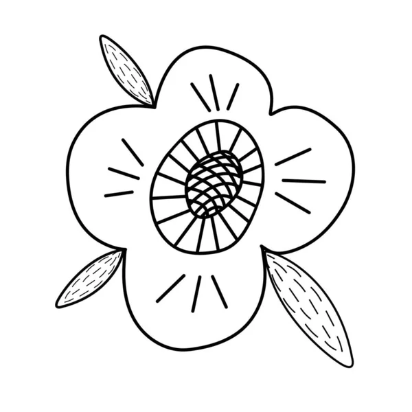 病媒说明可爱的夏花 植物手绘涂鸦草甸植物和花卉元素 T恤衫 记事本 着色用请柬 贺卡或印刷品的设计 — 图库矢量图片